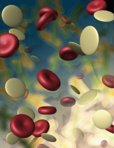 Medicamentos biosimilares