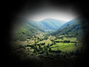 Glaucoma, “la ceguera silenciosa”