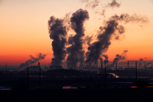 Efectos de la contaminación en la salud