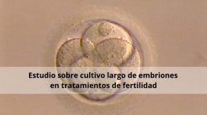 Estudio sobre cultivo largo de embriones en tratamientos de fertilidad