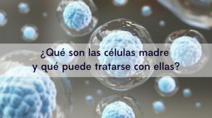 ¿Qué son las células madre y qué puede tratarse con ellas?