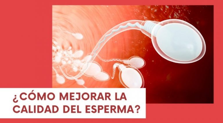 ¿cómo Mejorar La Calidad Del Esperma Blog De Masquemedicos