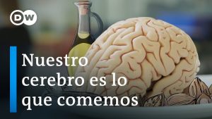 Nuestro cerebro es lo que comemos. Documental