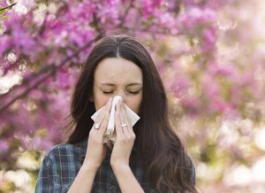 Consejos para sobrevivir la temporada de alergias