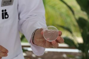 El reto de elegir al “mejor” espermatozoide