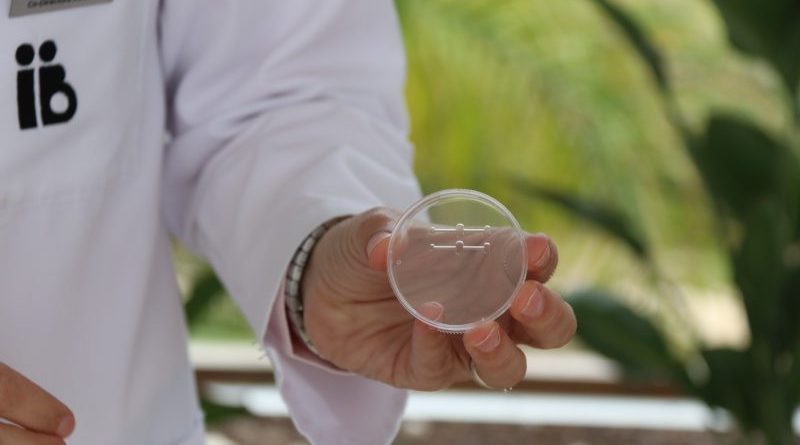 selección espermática