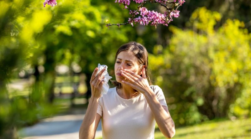 Alergia ocular primaveral