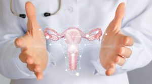 El útero y la fertilidad: obstáculos frecuentes y cómo superarlos